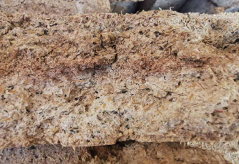 Daqu bricks used as fermentation starters